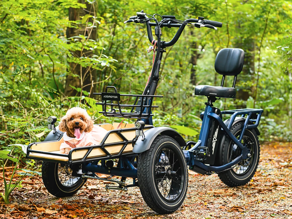 Family Utilitye eTrikes